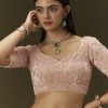 Pink Banarasi Tissue Saree With Velvet Embroidered Blouse