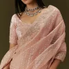 Peach Banarasi Tissue Saree With Velvet Embroidered Blouse