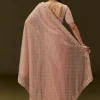 Peach Banarasi Tissue Saree With Velvet Embroidered Blouse