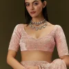 Peach Banarasi Tissue Saree With Velvet Embroidered Blouse