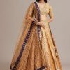 Light Brown Banarasi Silk Lehenga Set With Zardosi Work