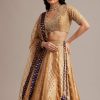 Light Brown Banarasi Silk Lehenga Set With Zardosi Work