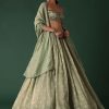 Pale Olive Green Printed Lehenga And Blouse Set In Banarasi Silk