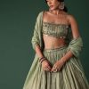 Pale Olive Green Printed Lehenga And Blouse Set In Banarasi Silk