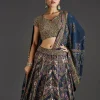 Navy Blue Lehenga With Regal Sparkle