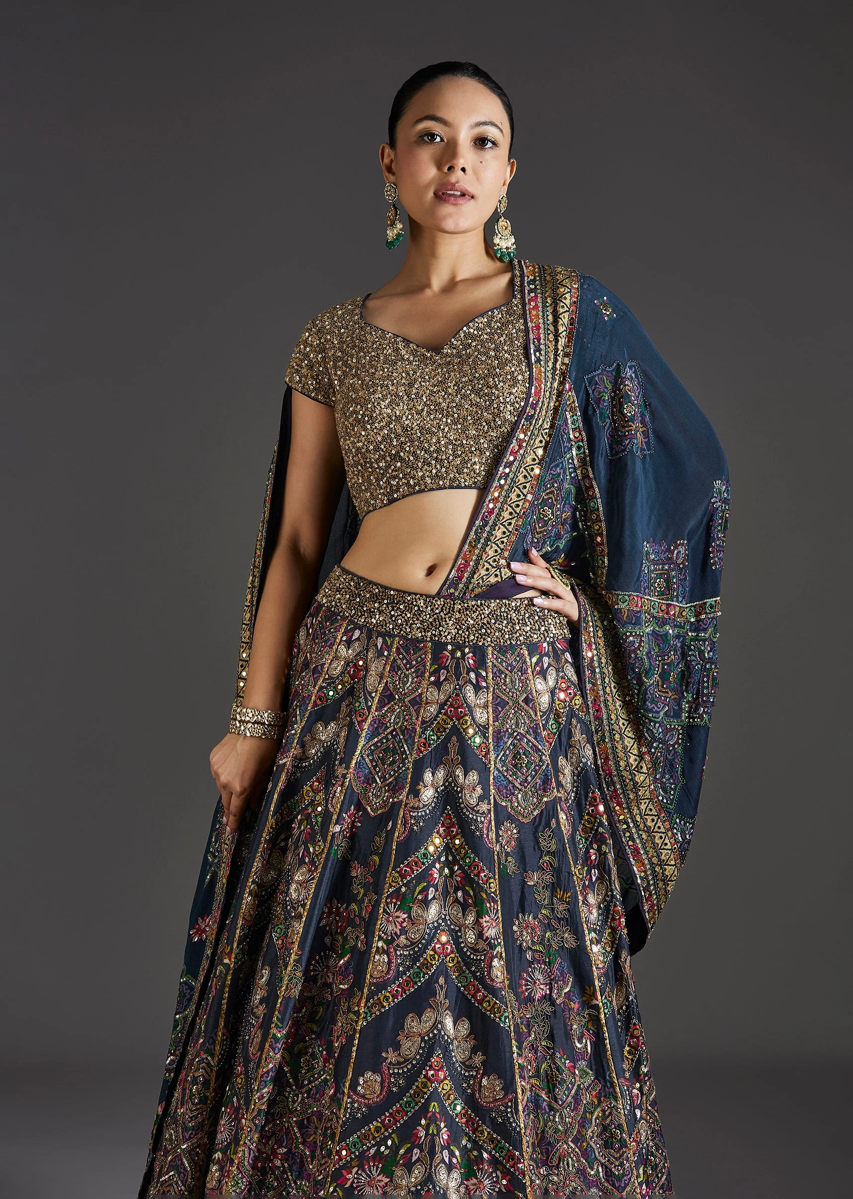 Navy Blue Lehenga With Regal Sparkle