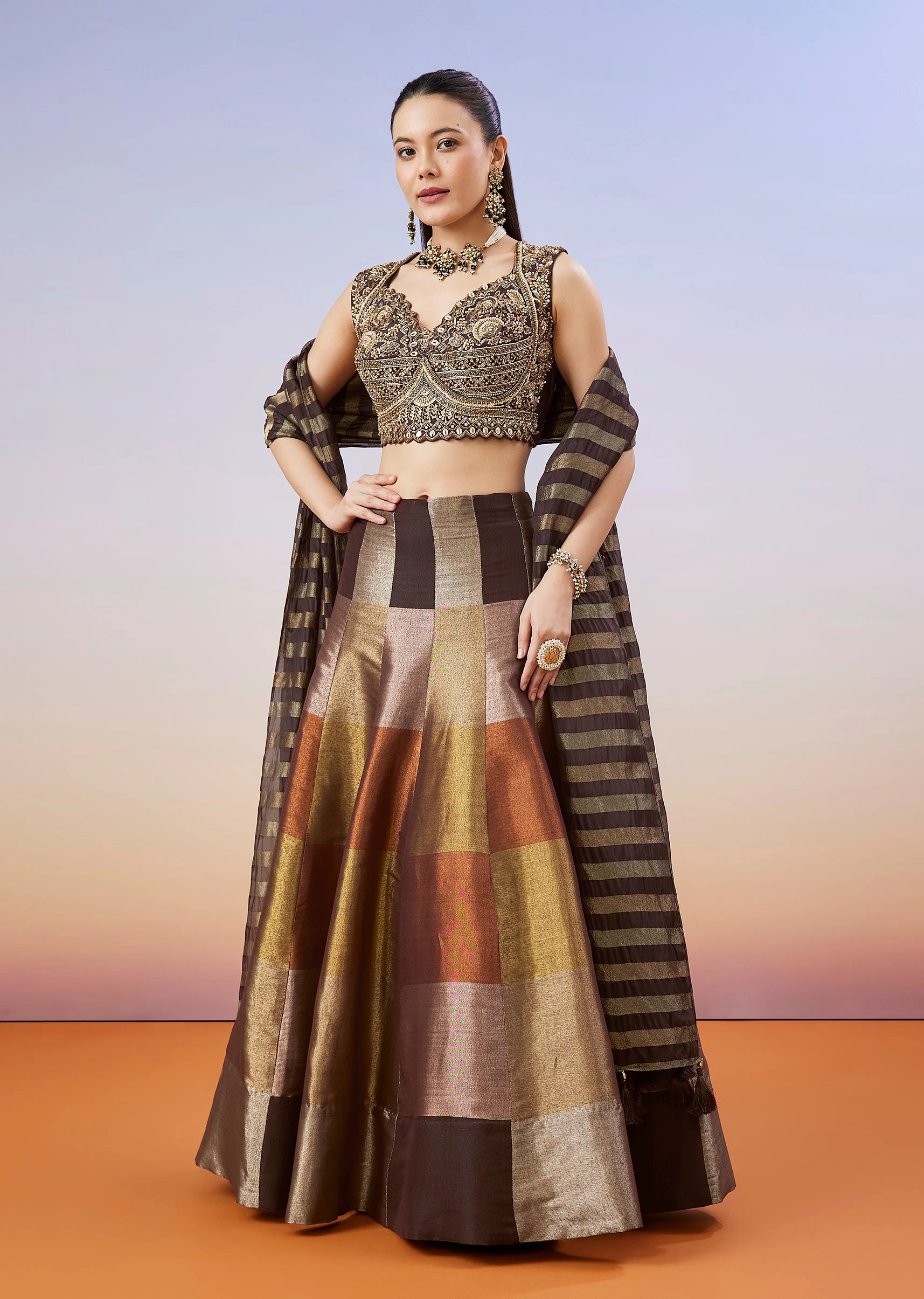 22109-brown-colourblocked-lehenga-with-zardosi-choli-1.webp Brown Colourblocked Lehenga With Zardosi Choli