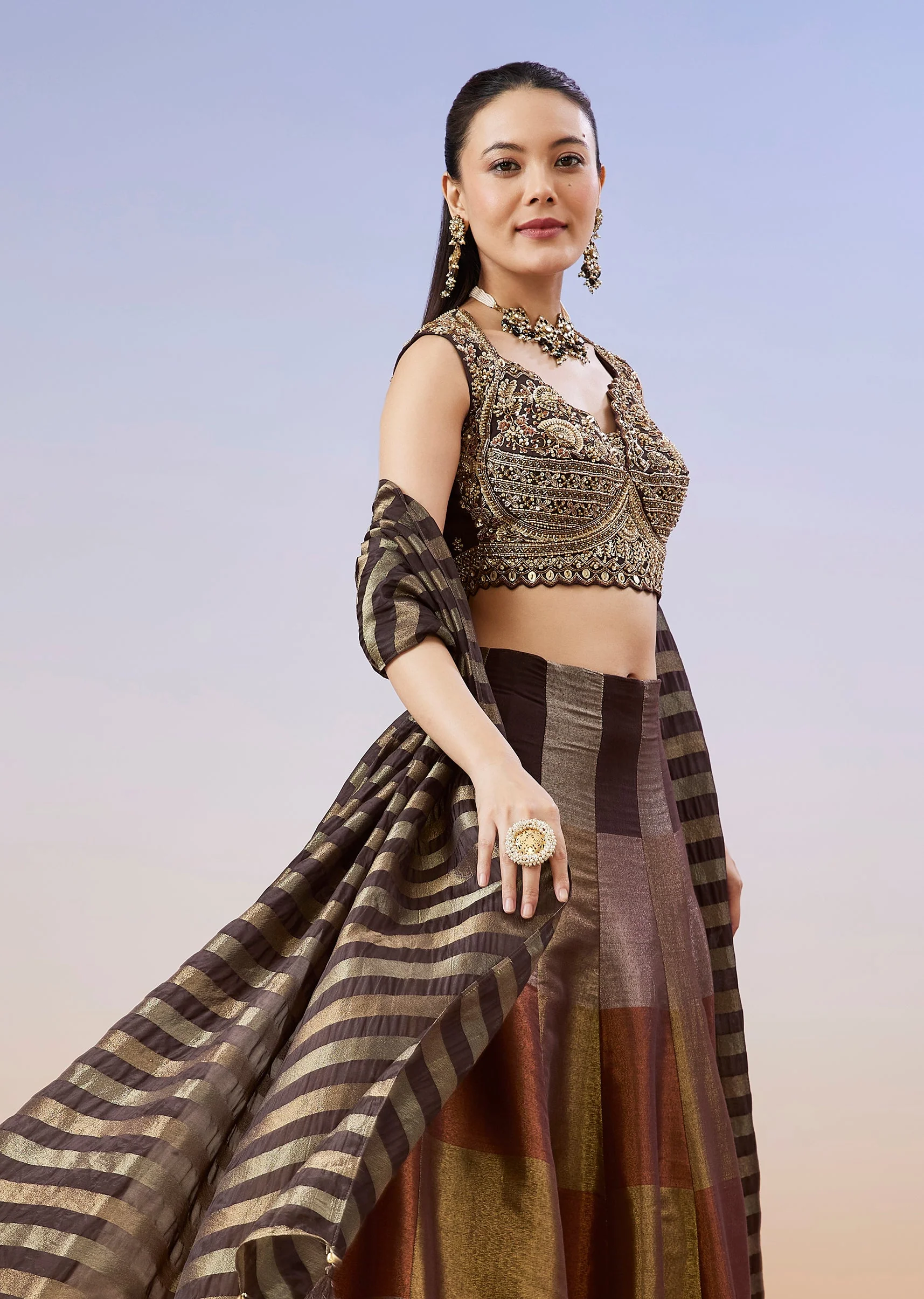 Brown Colourblocked Lehenga With Zardosi Choli