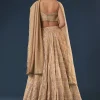 Copper Gold Banarasi Lehenga Set With Square Neck Blouse