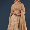 Copper Gold Banarasi Lehenga Set With Square Neck Blouse