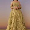 Citrus Green Banarasi Silk Lehenga Set With Sequins And Bead Detailing