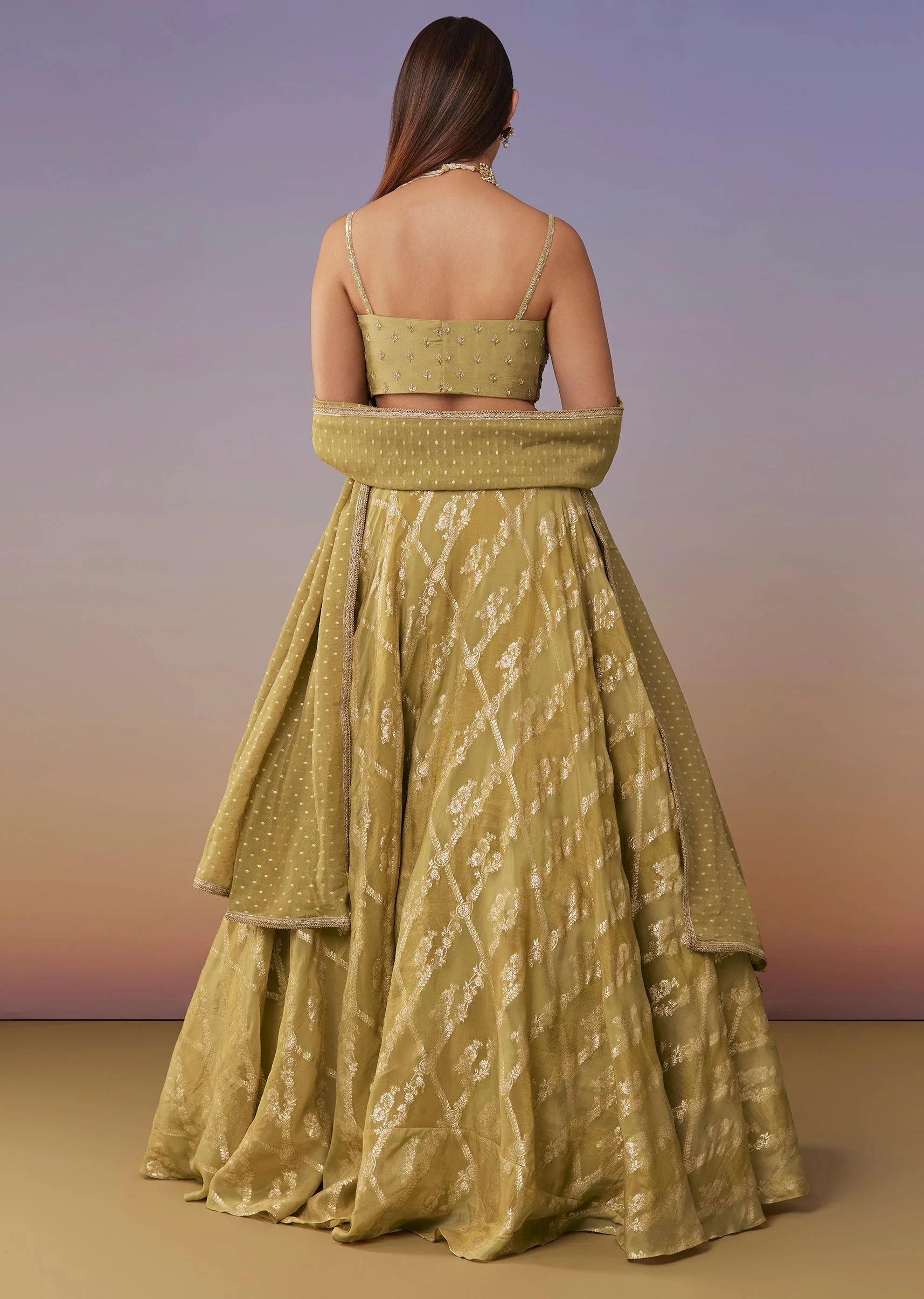 Citrus Green Banarasi Silk Lehenga Set With Sequins And Bead Detailing