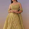 Citrus Green Banarasi Silk Lehenga Set With Sequins And Bead Detailing