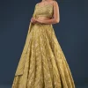 Citrus Green Banarasi Lehenga Set With Sequin And Lace Detailing