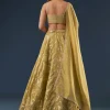 Citrus Green Banarasi Lehenga Set With Sequin And Lace Detailing