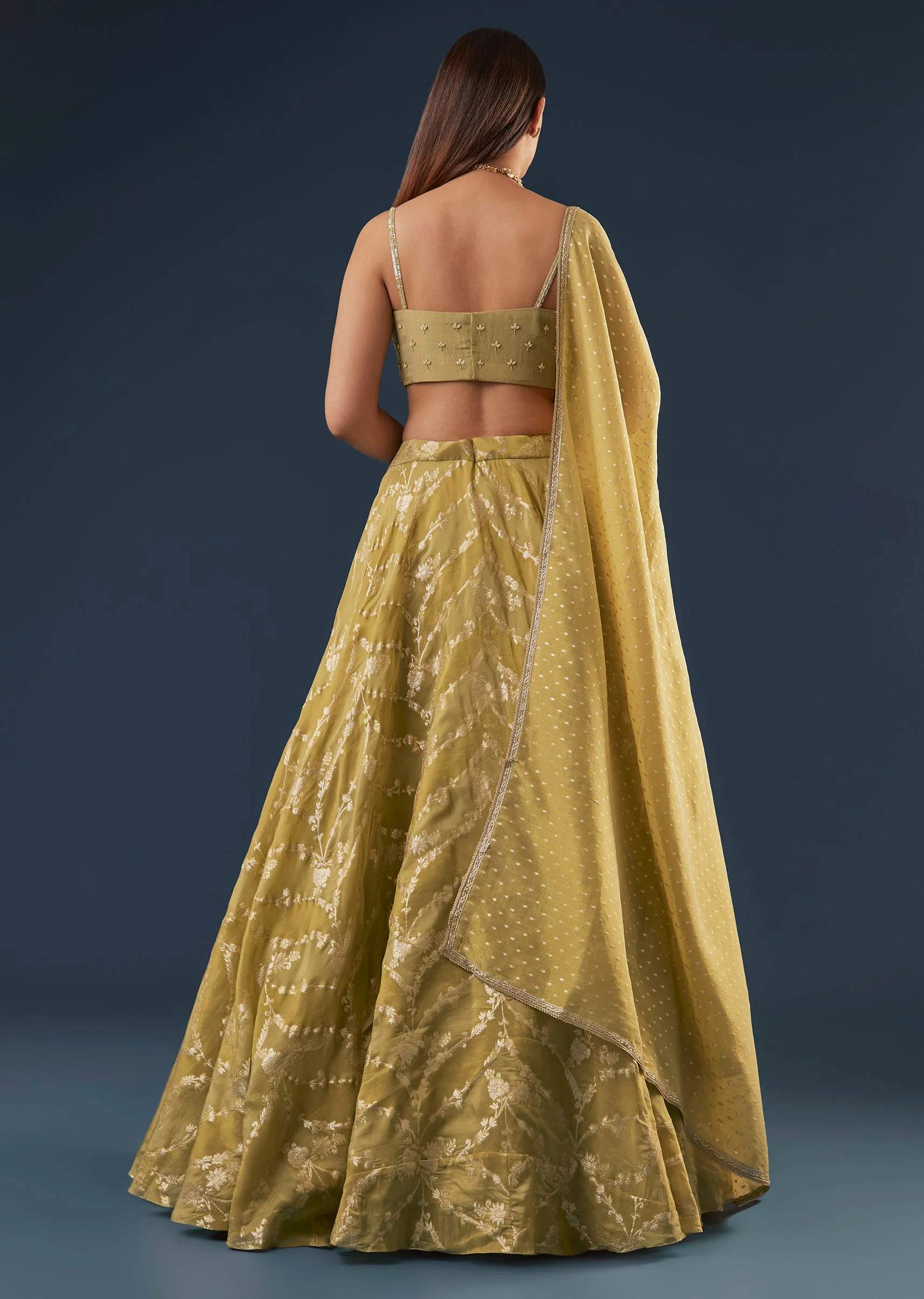 Citrus Green Banarasi Lehenga Set With Sequin And Lace Detailing