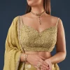 Citrus Green Banarasi Lehenga Set With Sequin And Lace Detailing