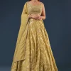 Citrus Green Banarasi Lehenga Set With Sequin And Lace Detailing