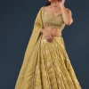 Citrus Green Banarasi Lehenga Set With Sequin And Lace Detailing