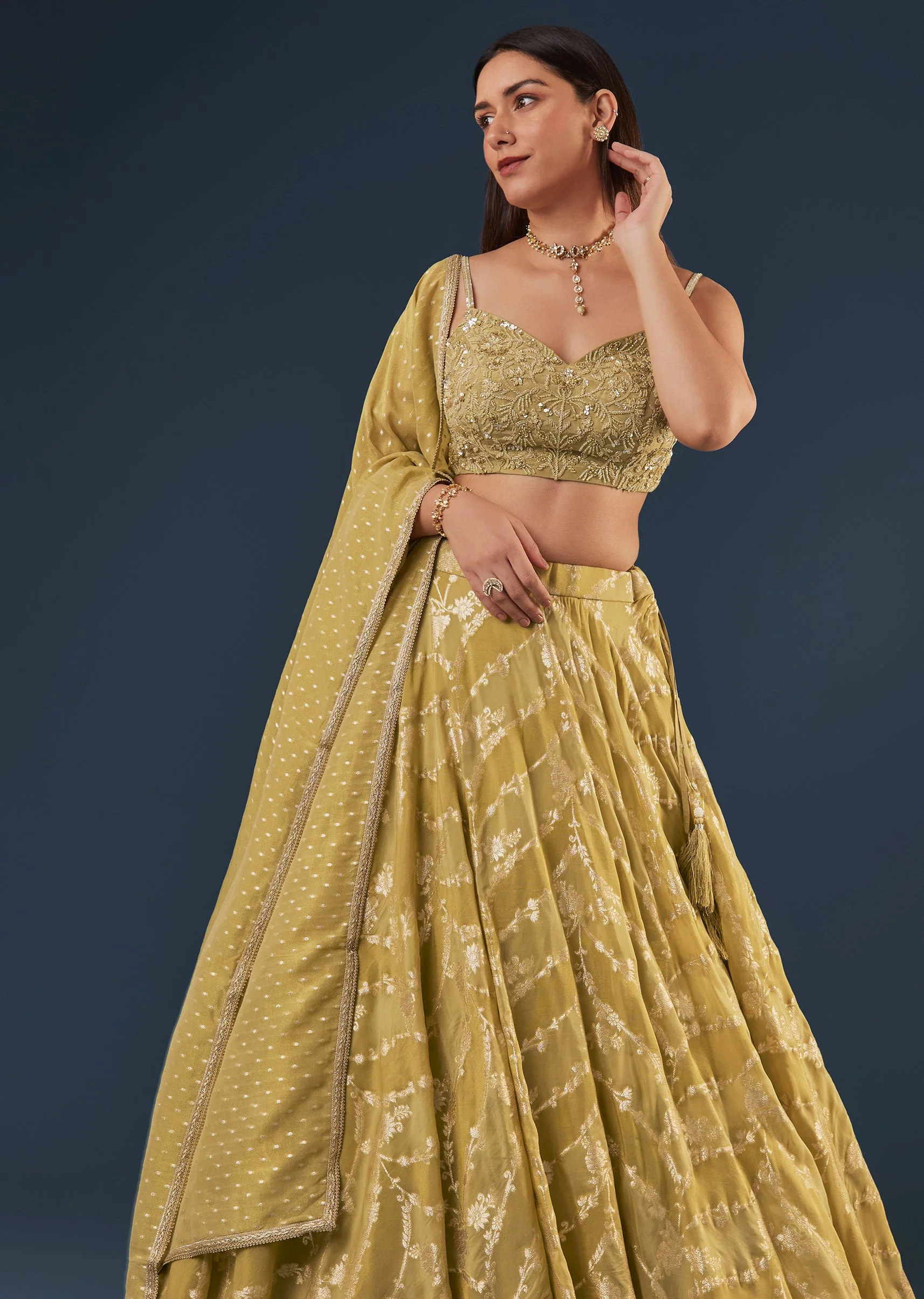 Citrus Green Banarasi Lehenga Set With Sequin And Lace Detailing