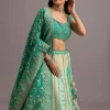 Aqua Green Embroidered Choli With Banarasi Weave Lehenga And Dupatta