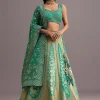 Aqua Green Embroidered Choli With Banarasi Weave Lehenga And Dupatta