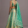 Aqua Green Embroidered Choli With Banarasi Weave Lehenga And Dupatta