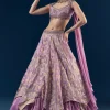 Purple Hand Embroidered Tissue Banarasi Silk Bridesmaid Lehenga Set
