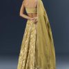 Citrus Green Banarasi Silk Bridesmaid Lehenga With Heavy Hand Embroidery