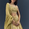 Citrus Green Banarasi Silk Bridesmaid Lehenga With Heavy Hand Embroidery