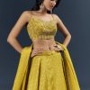 Citrus Green Banarasi Silk Bridesmaid Lehenga With Intricate Hand Embroidery