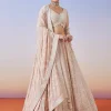Baby Pink Lucknowi Chikankari Lehenga With Dupatta