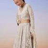 Beige Lucknowi Chikankari Lehenga With Dupatta