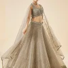 Beige Embroidered Net Lehenga Set With Dupatta