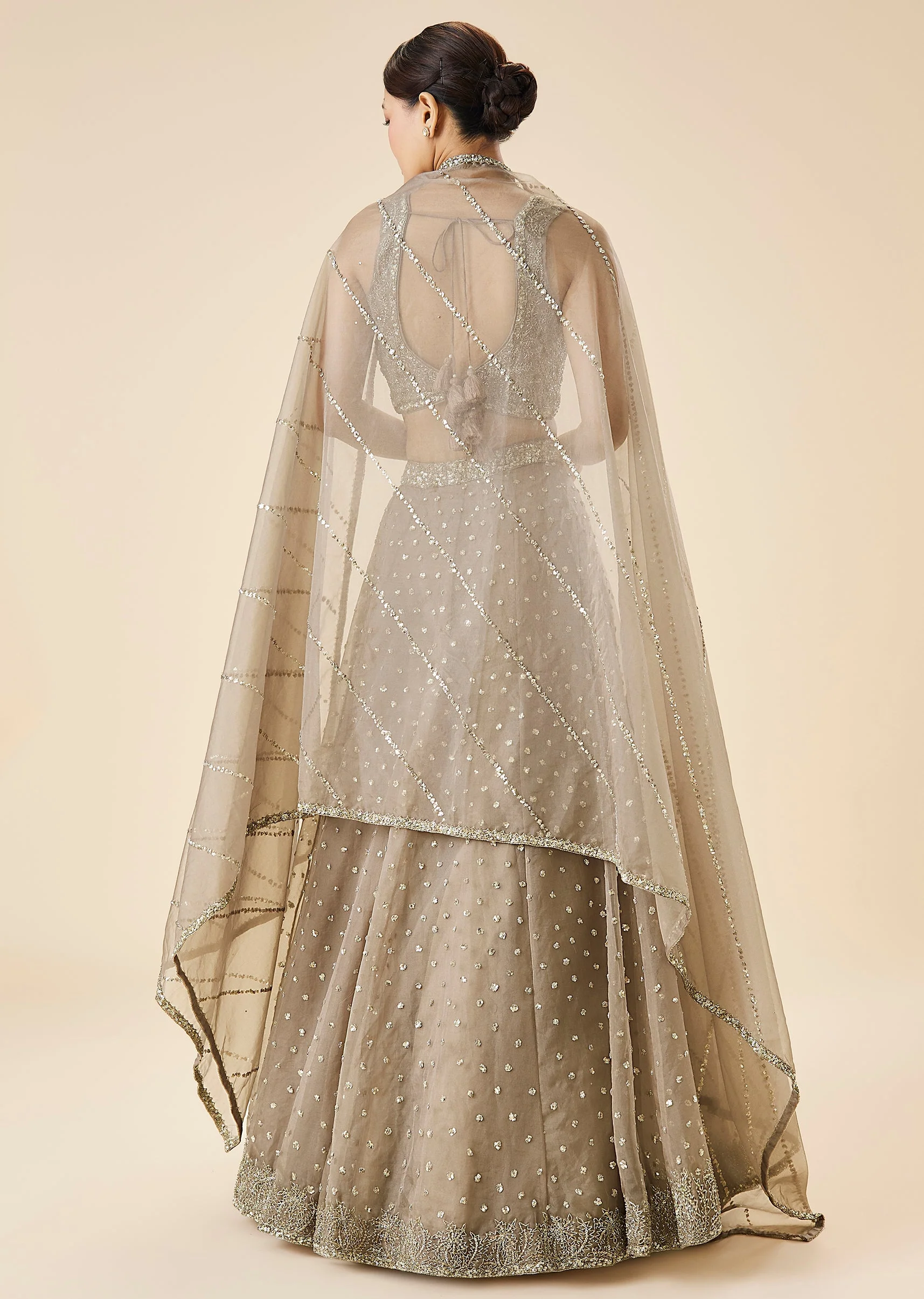 Beige Embroidered Net Lehenga Set With Dupatta