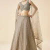 Beige Embroidered Net Lehenga Set With Dupatta