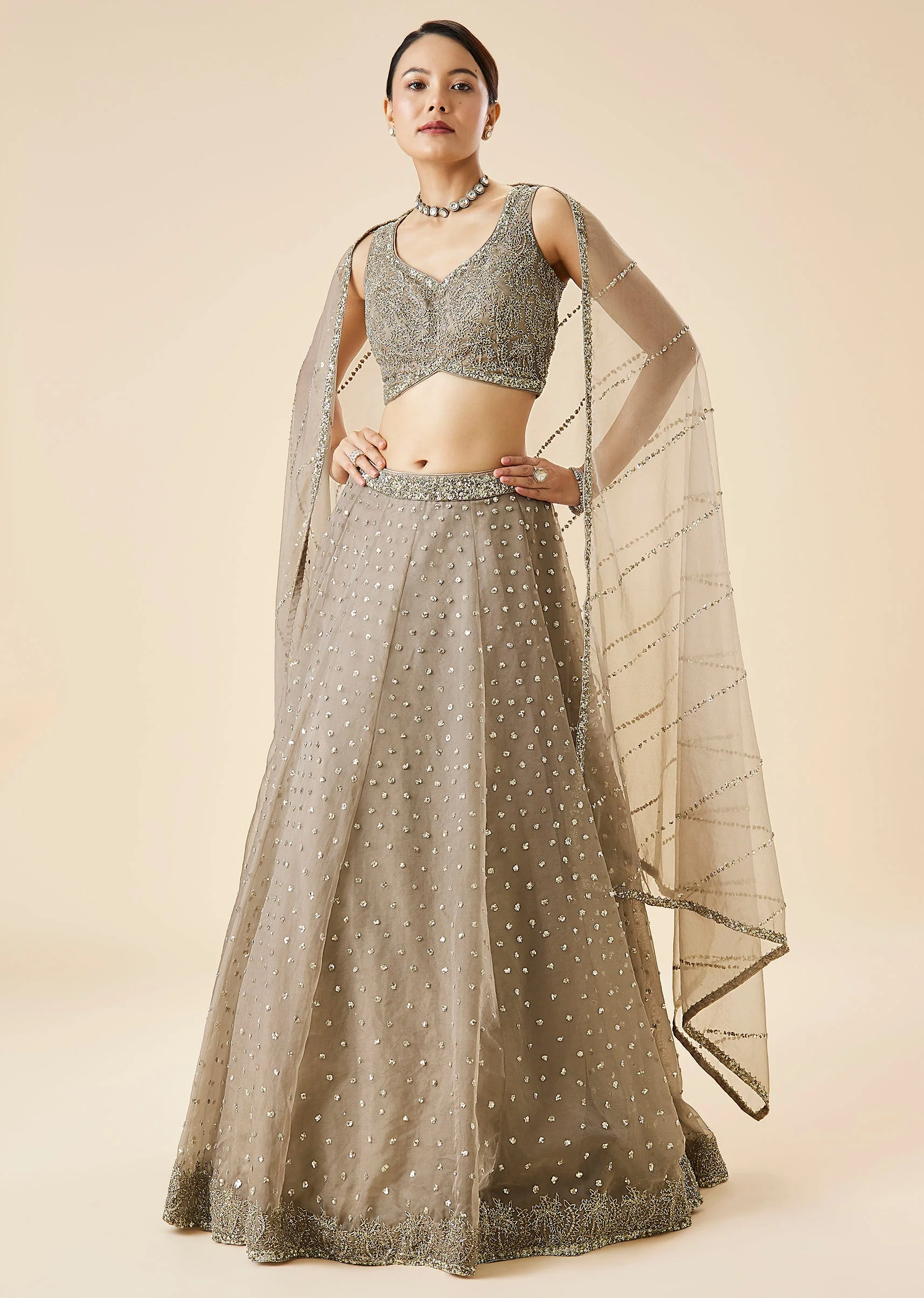Beige Embroidered Net Lehenga Set With Dupatta