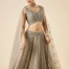 Beige Embroidered Net Lehenga Set With Dupatta