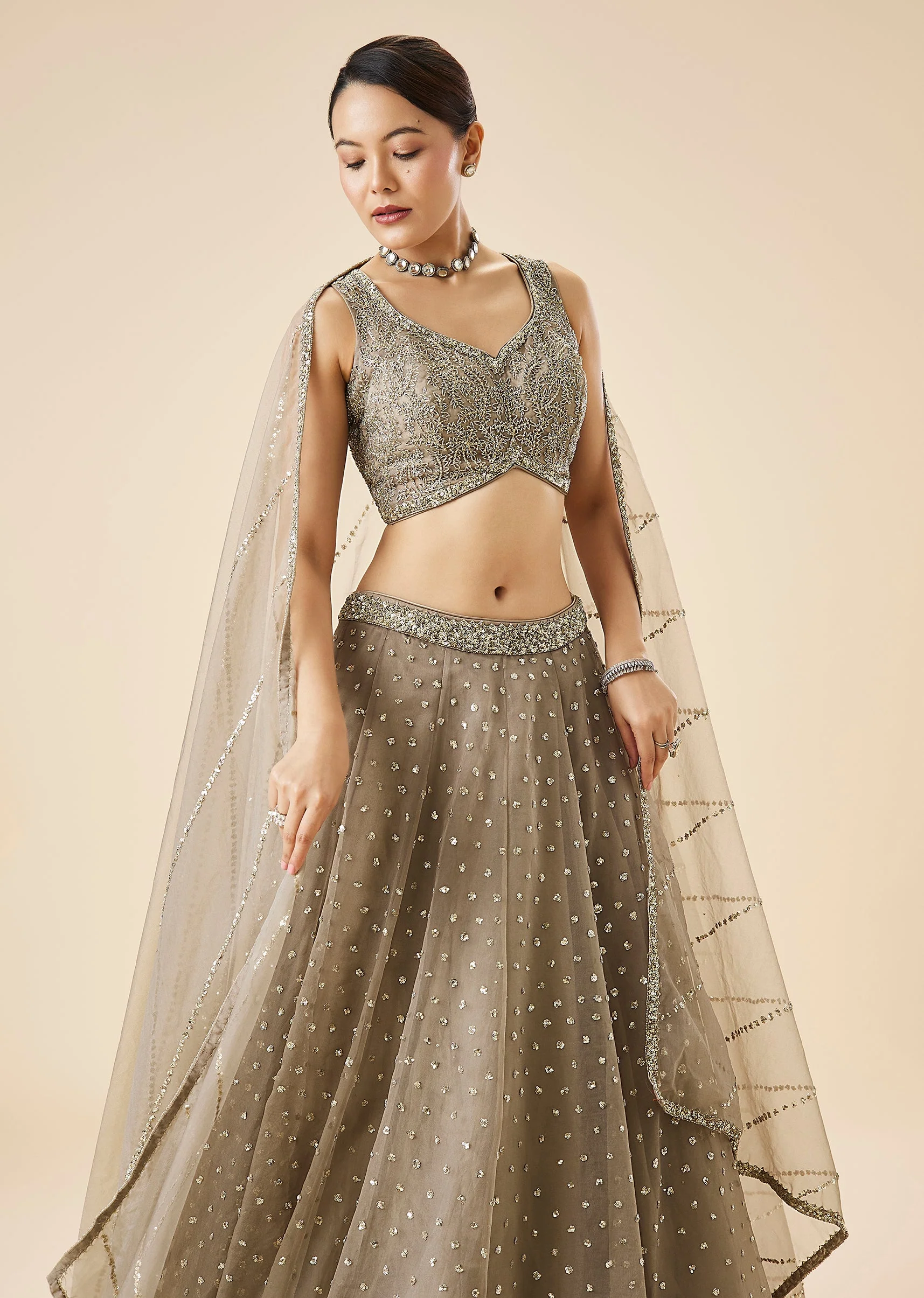 Beige Embroidered Net Lehenga Set With Dupatta