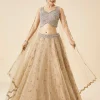 Beige Pastel Embroidered Bridal Lehenga Set With Dupatta