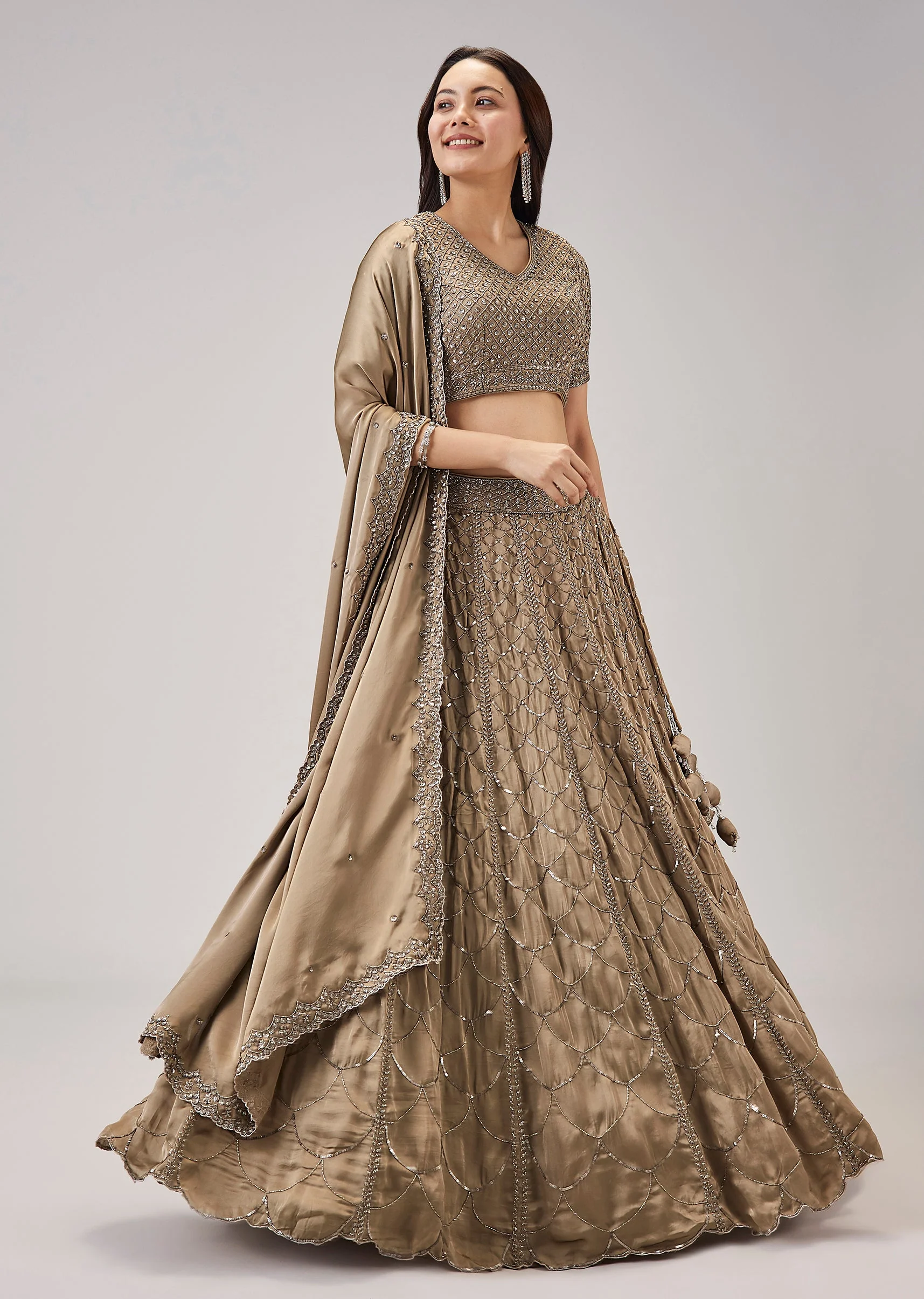 2432-beige-cut-dana-with-sequins-embroidered-lehenga-1.webp Beige Cut Dana With Sequins Embroidered Lehenga