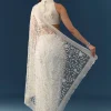 Cream Net Jaal Embellished Saree with Unstitched Blouse