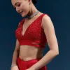Red Heavy Embroidered Net Saree With Cutwork Border And All Over Floral Jaal