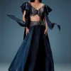 Navy Blue Organza Butterfly Blouse With Skirt