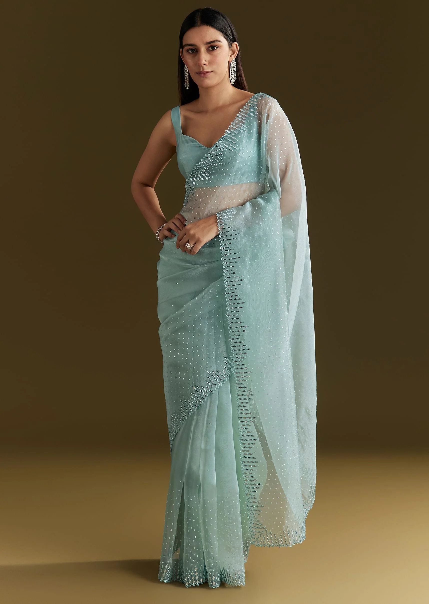 4613-light-blue-glossy-organza-saree-with-scallop-border-1.webp Light Blue Glossy Organza Saree With Scallop Border