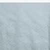 Light Blue Glossy Organza Saree With Scallop Border