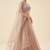 Onion Pink Pastel Embroidered Lehenga Set