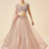 Onion Pink Pastel Embroidered Lehenga Set
