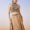 Gold Tissue Handwork Crop Skirt Lehenga