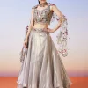 Grey Shimmer Organza Fusion Lehenga With Dupatta